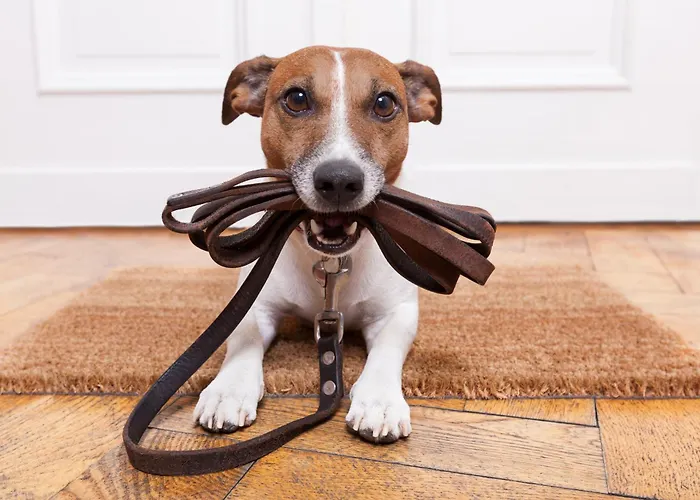 Appartamento Sun Side By Schladming-appartements *